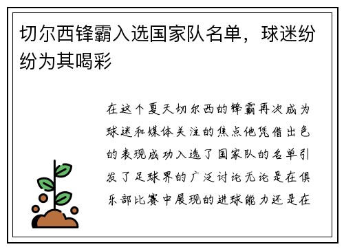 切尔西锋霸入选国家队名单，球迷纷纷为其喝彩